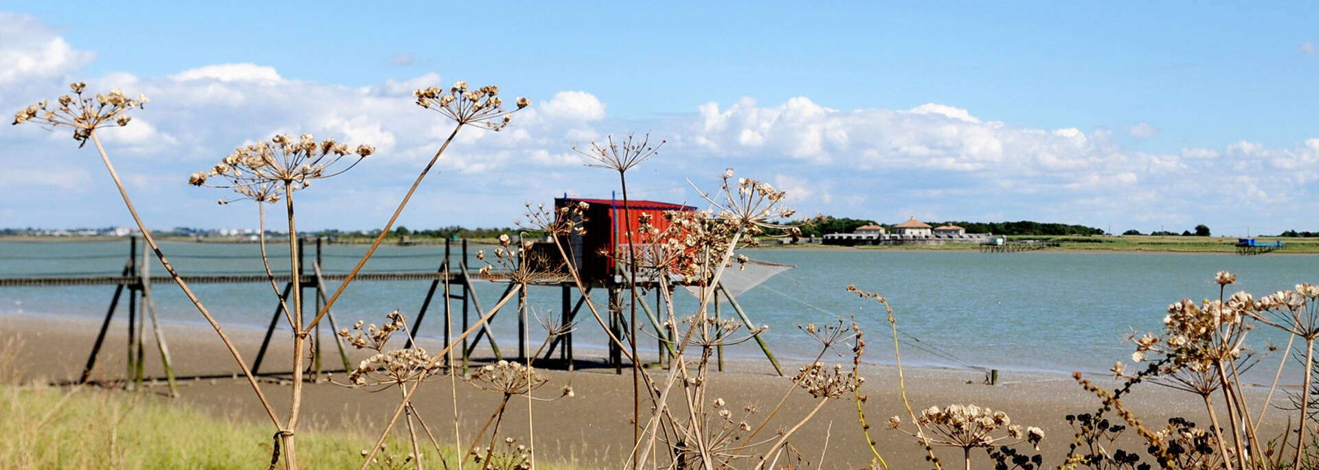 Le fort Lupin en arrière plan depuis les marais de Soumard - © Marie-Françoise Boufflet